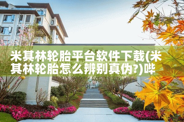 米其林轮胎平台软件下载|哔咔漫画